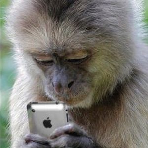 Meet your Posher, Roxana